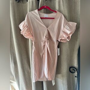 SAYLOR Blush Ruffle Sleeve Brookey Blush Mini Dress